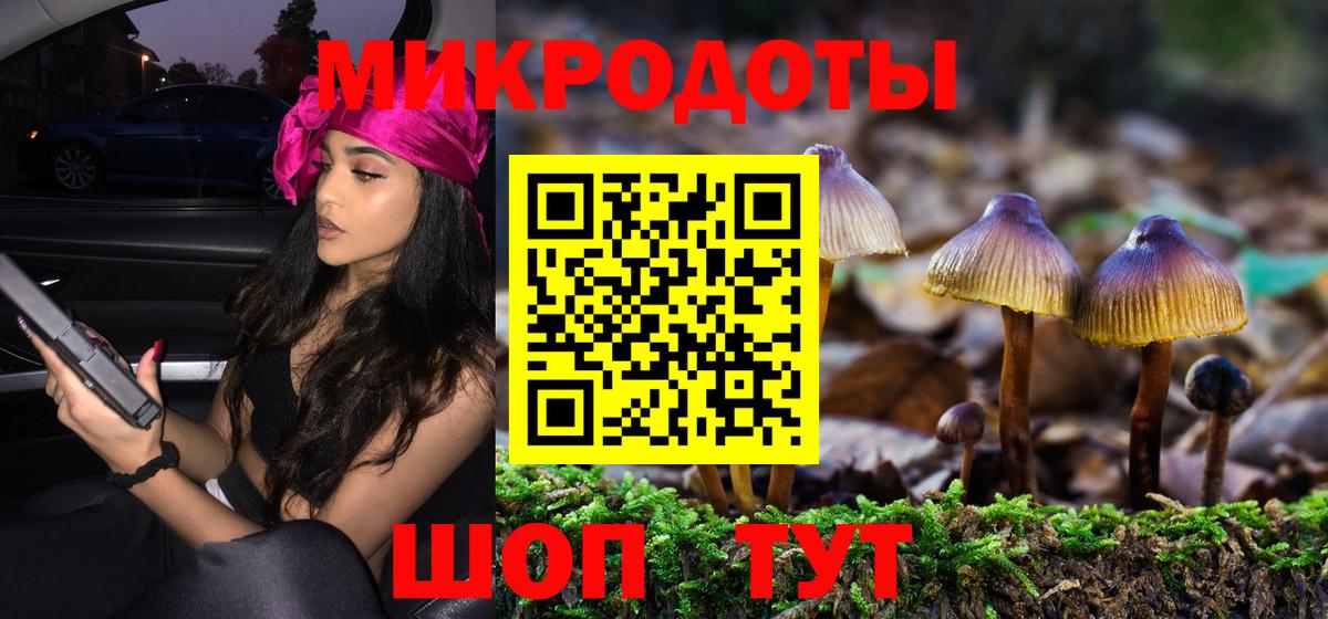 Псилоцибиновые грибы мицелий Стрежевой